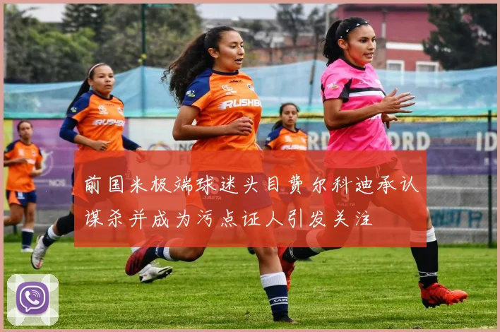 前国米极端球迷头目费尔科迪承认谋杀并成为污点证人引发关注